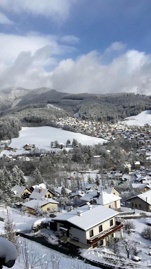 Panorama Lambach Appartament Мюрццушлаг Экстерьер фото